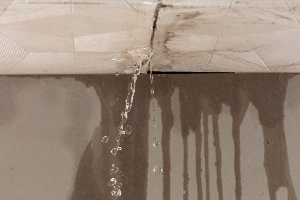 Professional Structural Drying technician working in Middle Point, OH